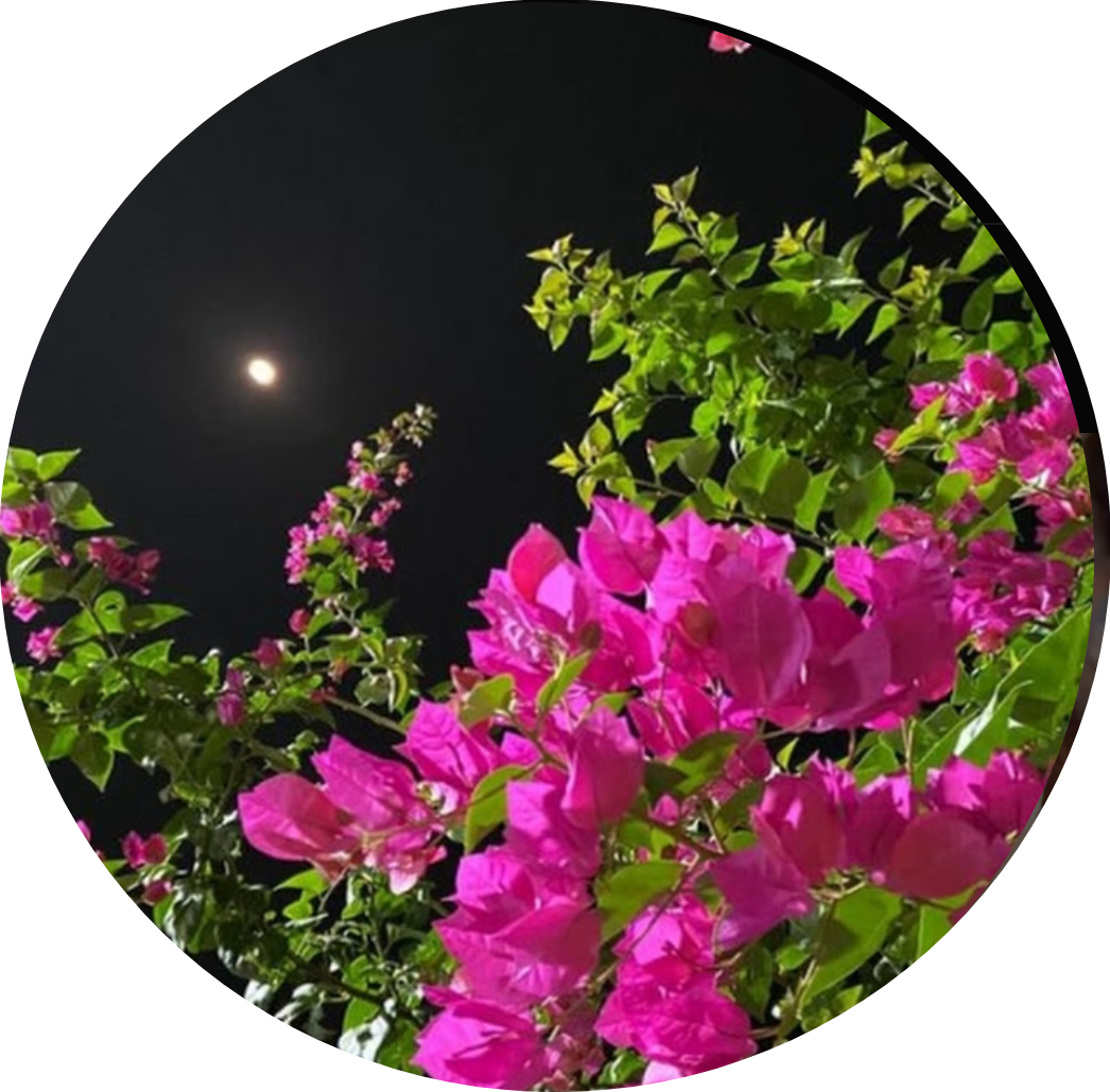@lyrics_Quest